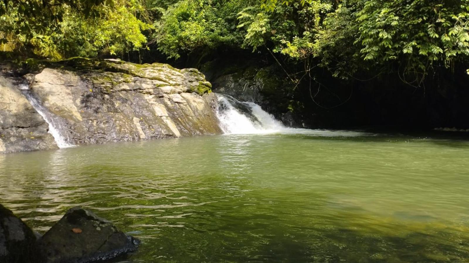 Gaia Amazon Eco Lodge Ahuano Εξωτερικό φωτογραφία
